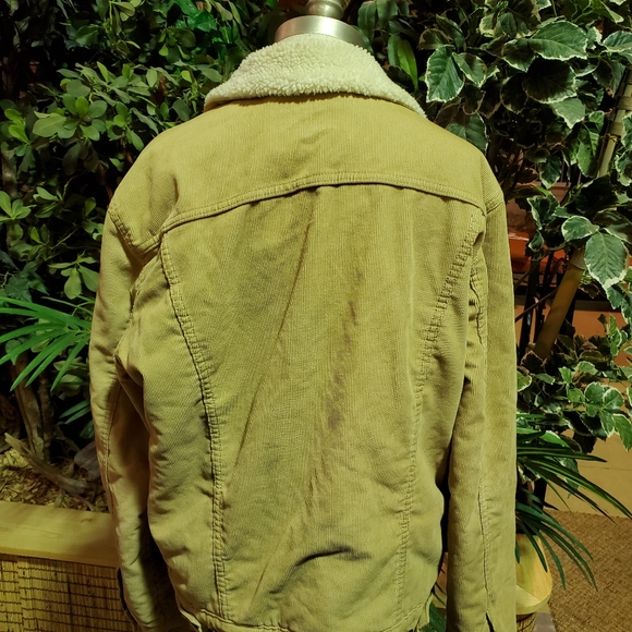 Levi Trucker Jacket - Picture 3 of 3